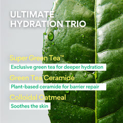 Innisfree Green Tea Ceramide Milk - 160 ml